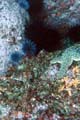 106 IMG_1389c