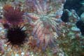 109 IMG_1396c