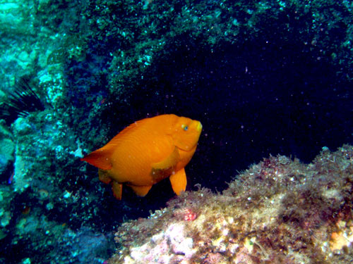 075 P7110144c2