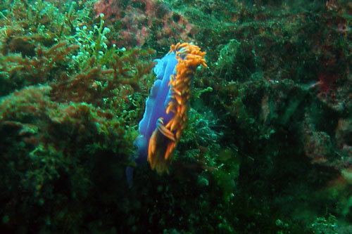 082 P7120161c2