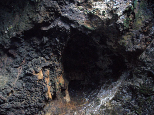 085 P7120048c