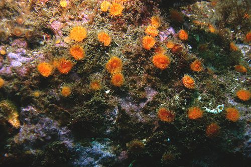 103 P7120187c2jpg