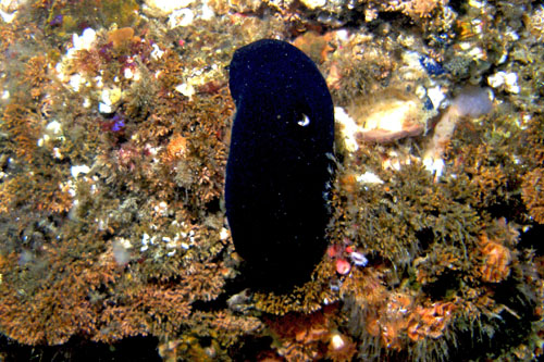 106 P7120193c2