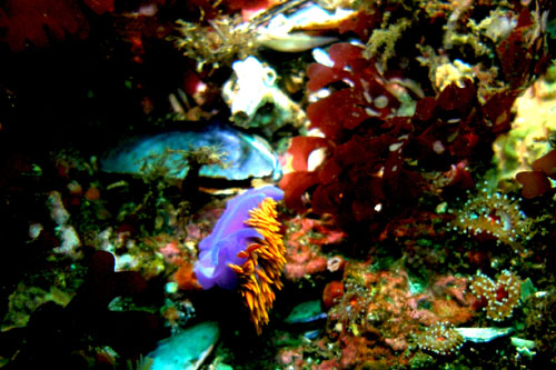 109 P7120201c2