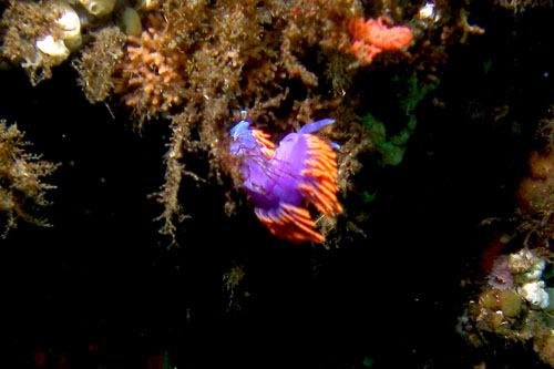 112 P7120204c2