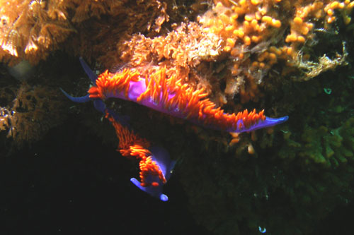 116 P7120209c2