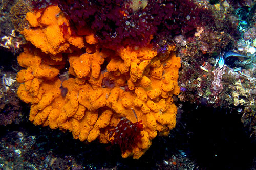 118 P7120212c2