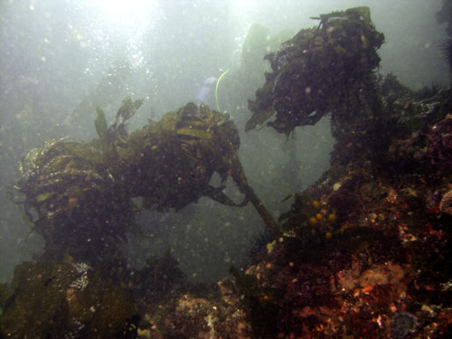 120 P7120215c2
