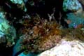 076 P7110145c2
