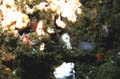 107 P7120195c2 3